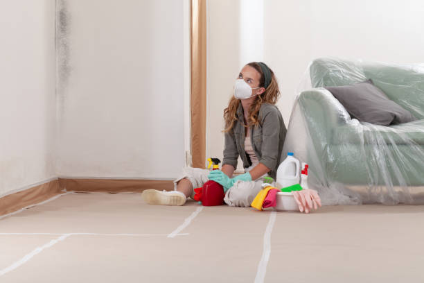 Reliable Black Mold Removal contractor in Canton, TX by WQB Mold Removal